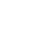 x icon